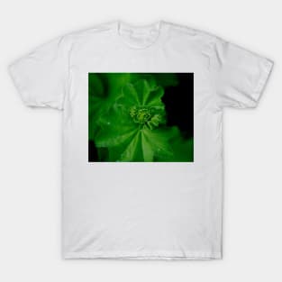 Spiral Plant Growth T-Shirt